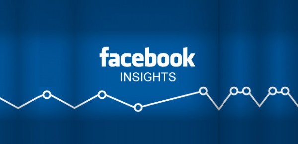 Facebook-Insights-2013i